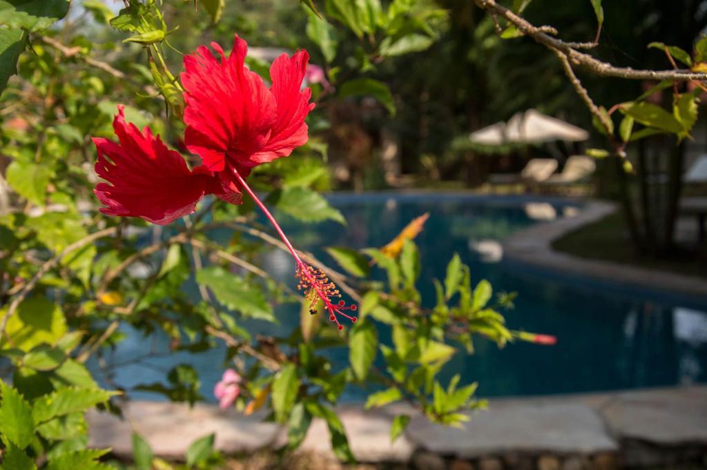 Le Flamboyant Resort Kep Exterior foto